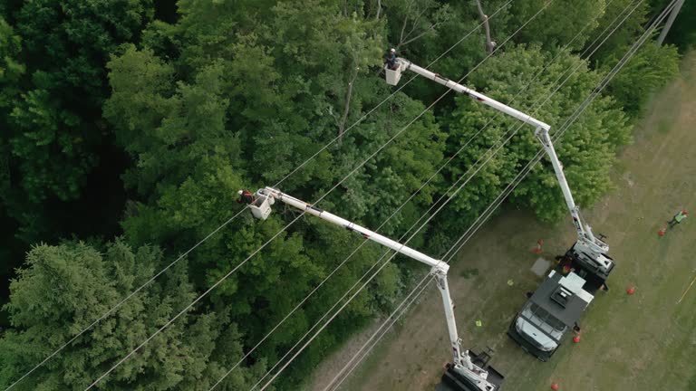 Best Seasonal Cleanup (Spring/Fall)  in Ransomville, NY